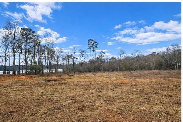 0.92 Acres of Residential Land for Sale in Hemphill, Texas