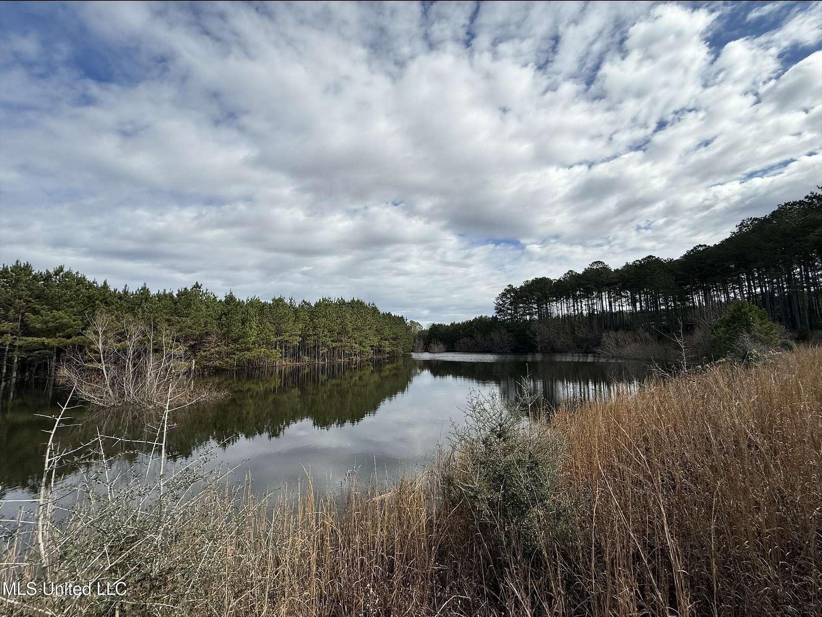 155 Acres of Recreational Land for Sale in Carson, Mississippi