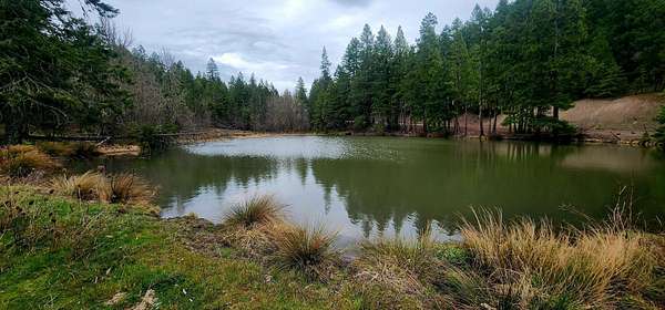 73.6 Acres of Recreational Land with Home for Sale in Trail, Oregon