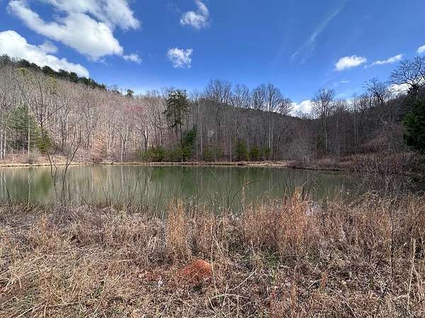 40.3 Acres of Recreational Land for Sale in Murphy, North Carolina