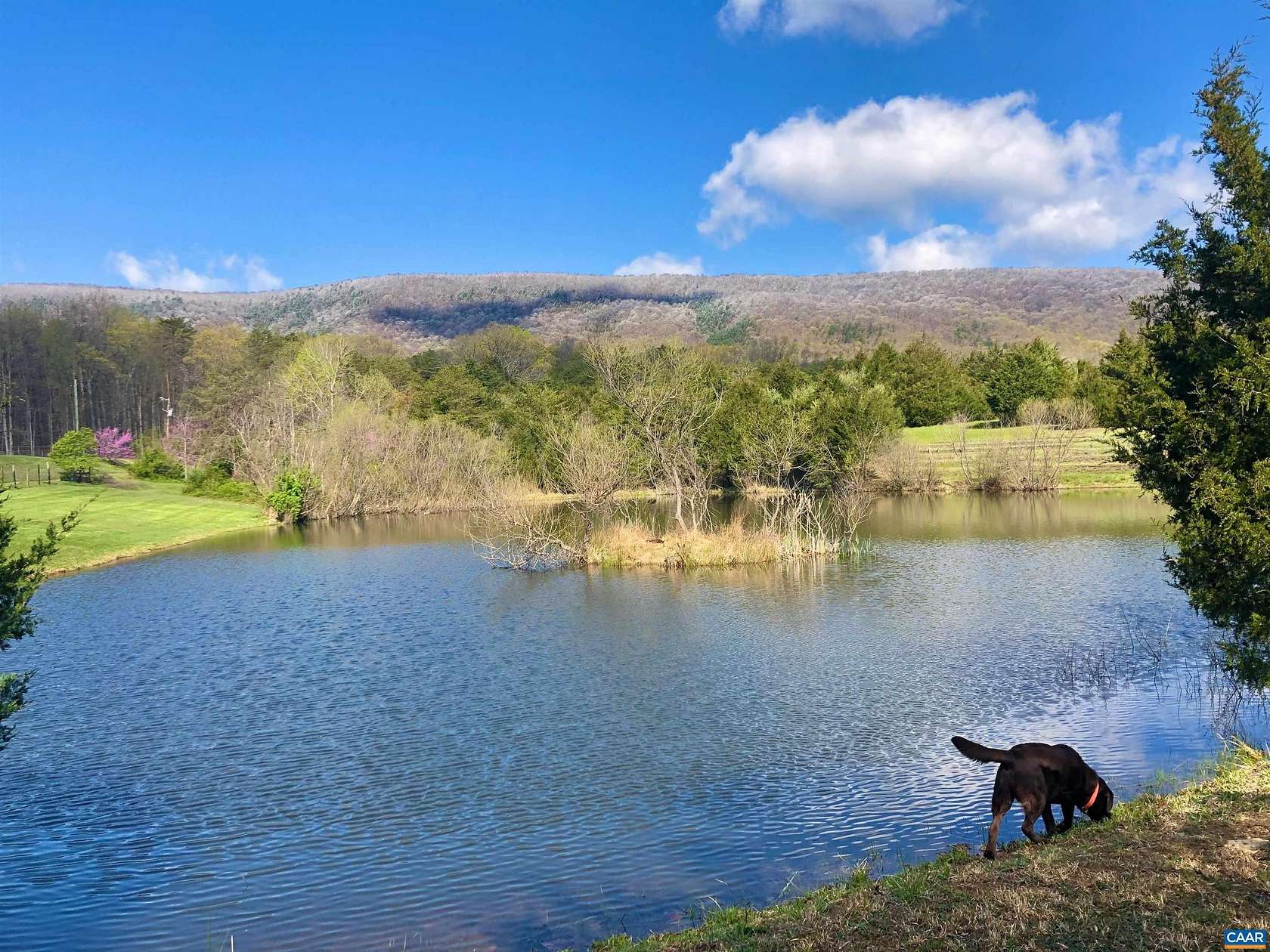 40 Acres of Improved Land for Sale in Fort Valley, Virginia