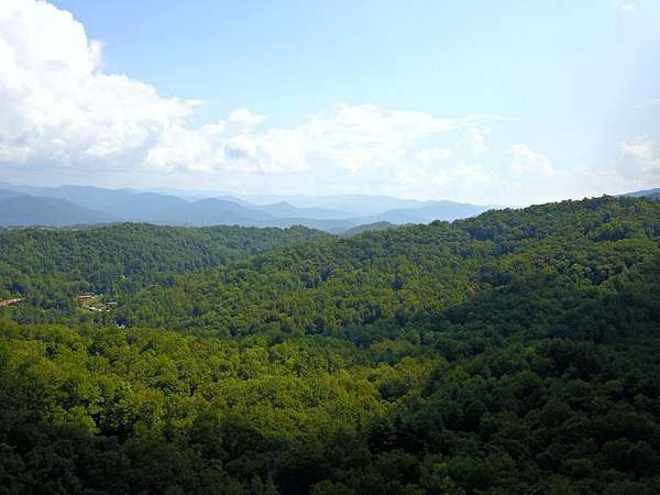 70 Acres of Land for Sale in Sylva, North Carolina