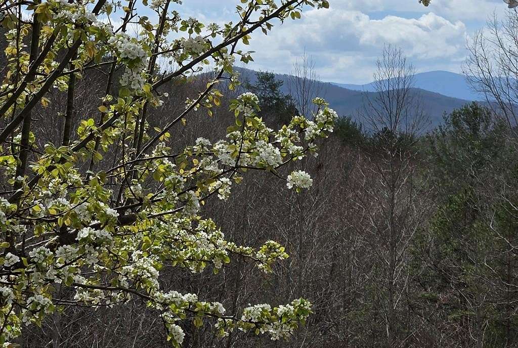 8.5 Acres of Land for Sale in Morganton, Georgia