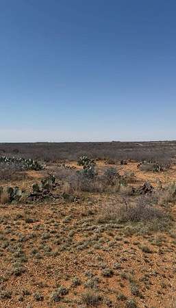 28.1 Acres of Land for Sale in Colorado City, Texas