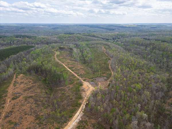 11.8 Acres of Recreational & Residential Land for Sale in Dover, Tennessee