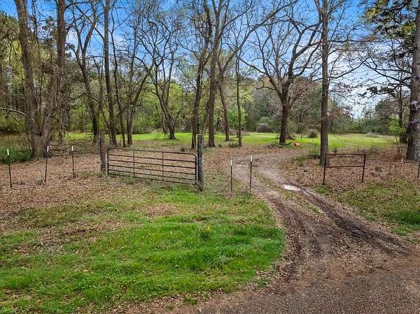 65.2 Acres of Recreational & Residential Land for Sale in Daingerfield, Texas