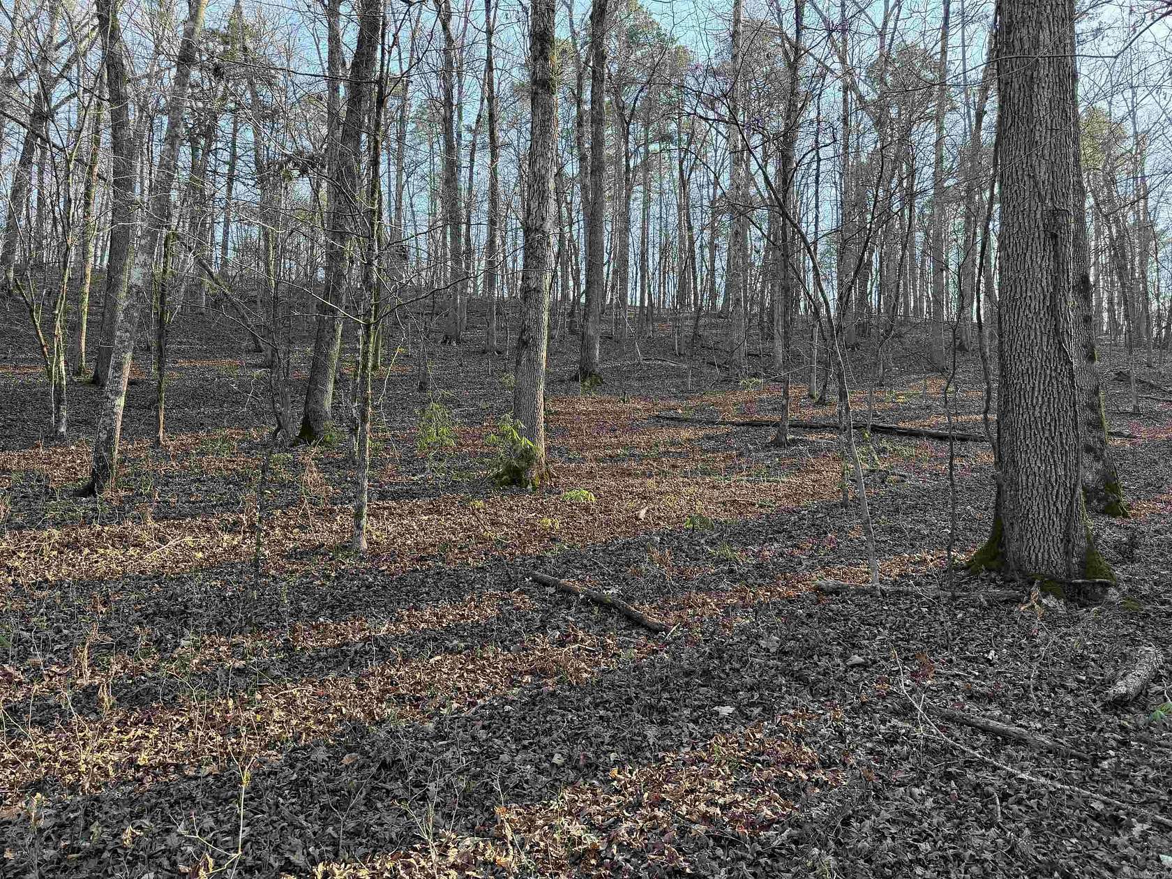 16.6 Acres of Recreational Land for Sale in Clinton, Arkansas