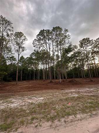 0.23 Acres of Residential Land for Sale in Georgetown, Florida