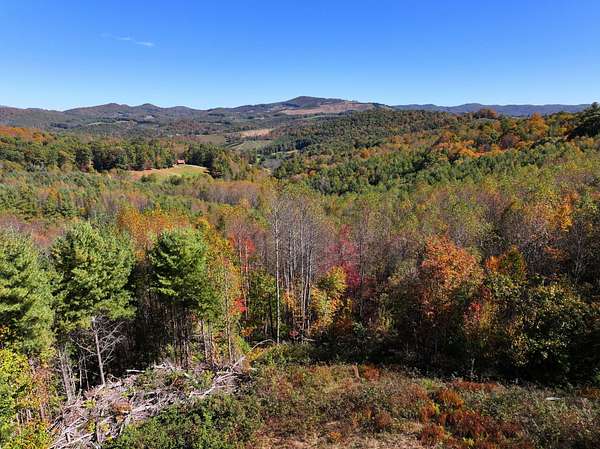 42.3 Acres of Recreational Land for Sale in Laurel Springs, North Carolina