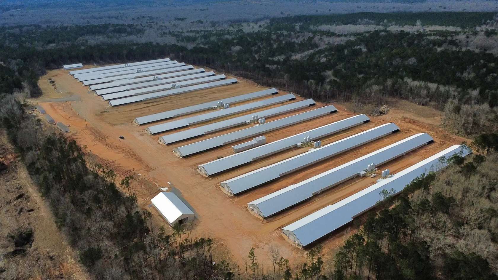 80 Acres of Agricultural Land for Sale in Bernice, Louisiana