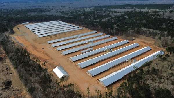 80 Acres of Agricultural Land for Sale in Bernice, Louisiana