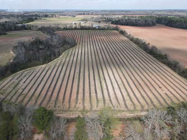 9.8 Acres of Land for Sale in Ashford, Alabama