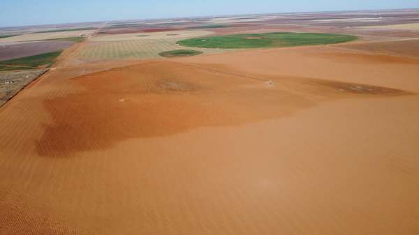 320 Acres of Land for Sale in Brownfield, Texas