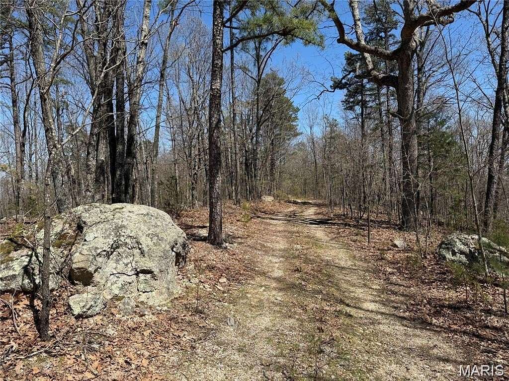 80 Acres of Land for Sale in Belleview, Missouri