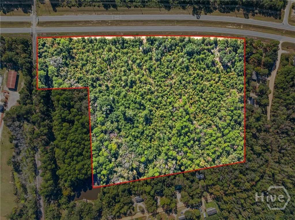 18.3 Acres of Commercial Land for Sale in Sylvania, Georgia