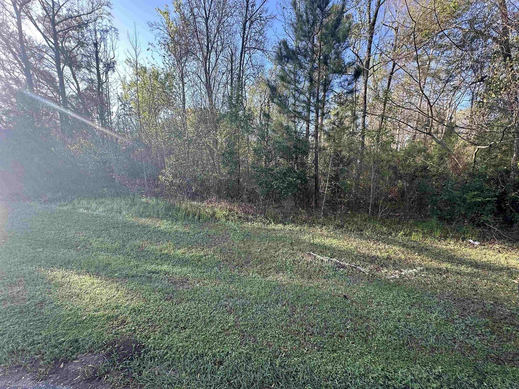10 Acres of Residential Land for Sale in Chattahoochee, Florida