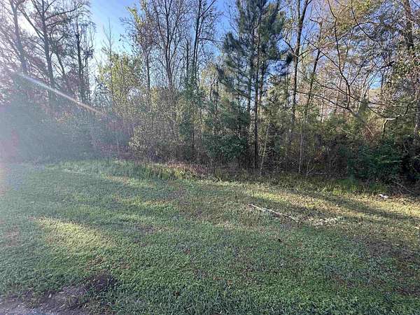 10 Acres of Residential Land for Sale in Chattahoochee, Florida