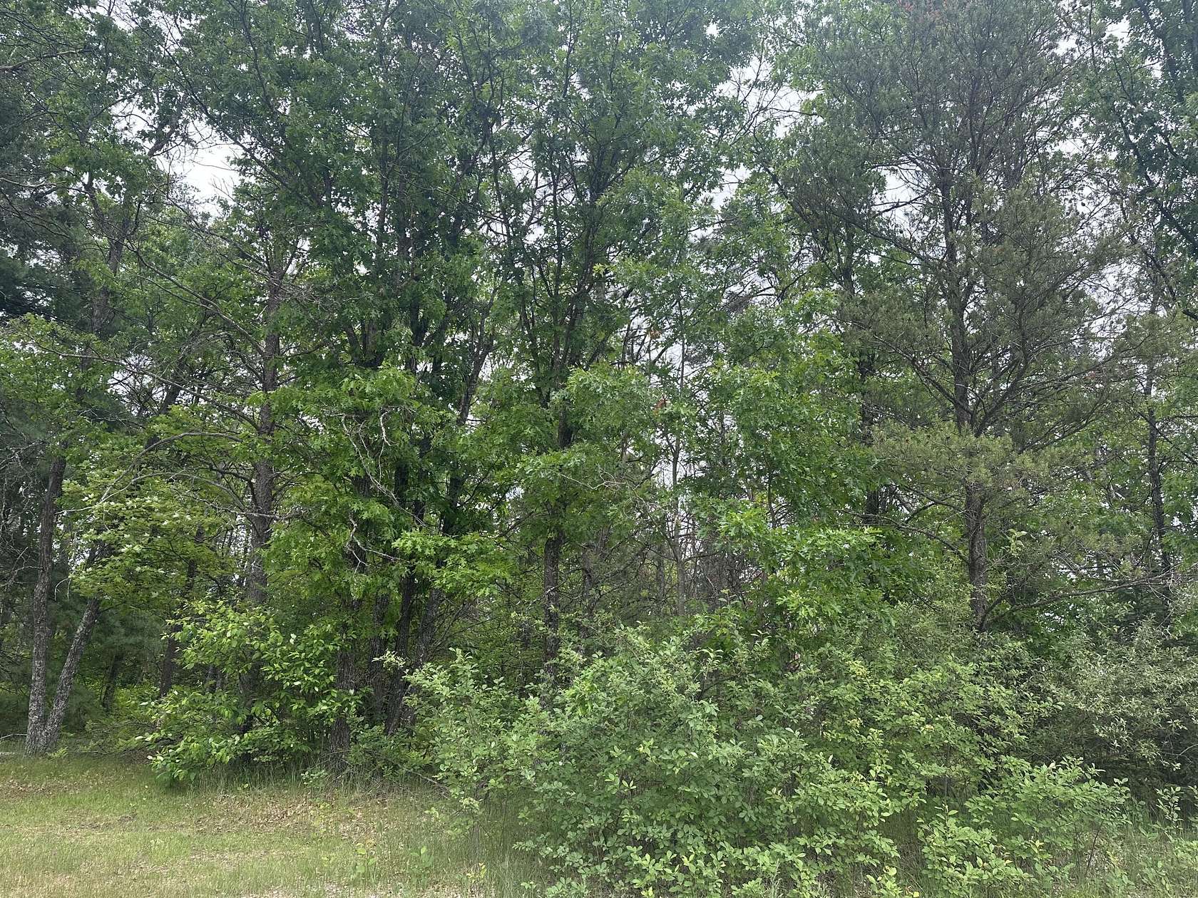 1 Acre of Residential Land for Sale in Mio, Michigan