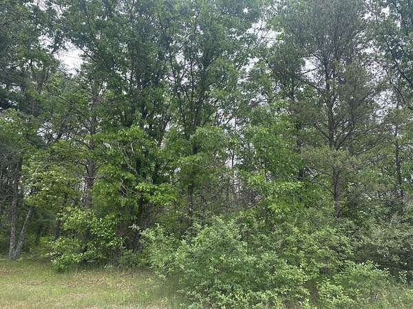1 Acre of Residential Land for Sale in Mio, Michigan