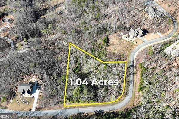 1 Acre of Residential Land for Sale in Cleveland, Georgia