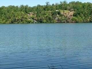 1 Acre of Land for Sale in Arley, Alabama