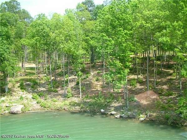 Land for Sale in Arley, Alabama