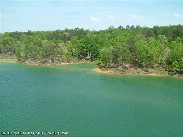 Land for Sale in Arley, Alabama