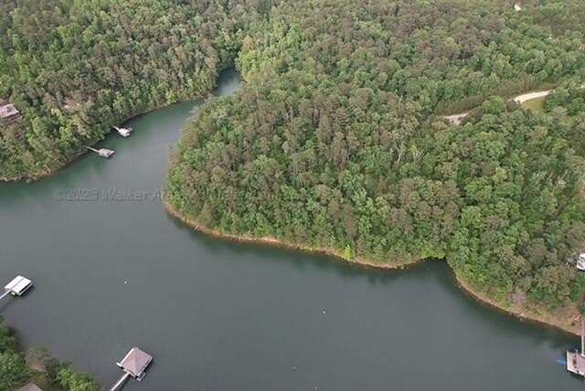 Land for Sale in Arley, Alabama