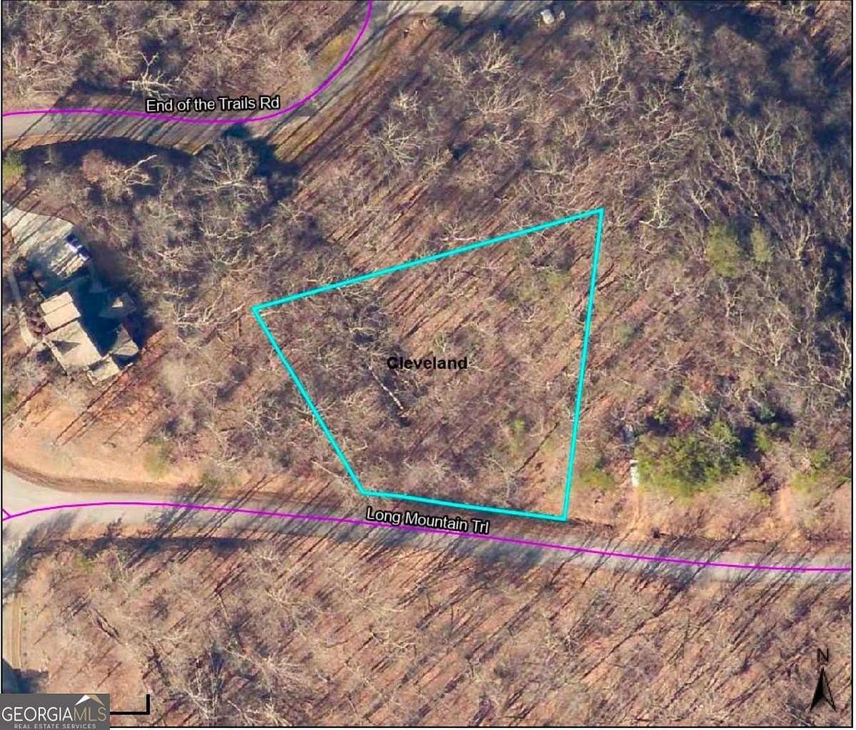 1 Acre of Residential Land for Sale in Cleveland, Georgia