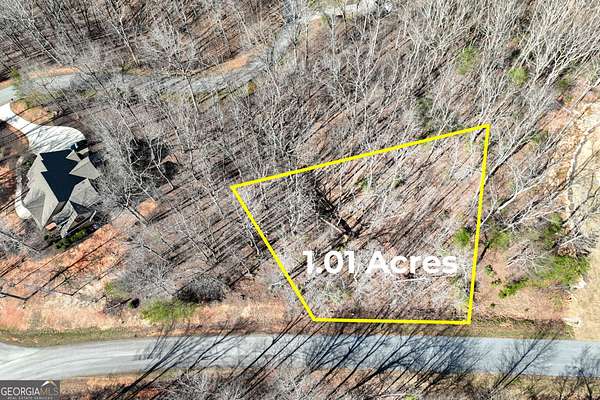 1 Acre of Residential Land for Sale in Cleveland, Georgia