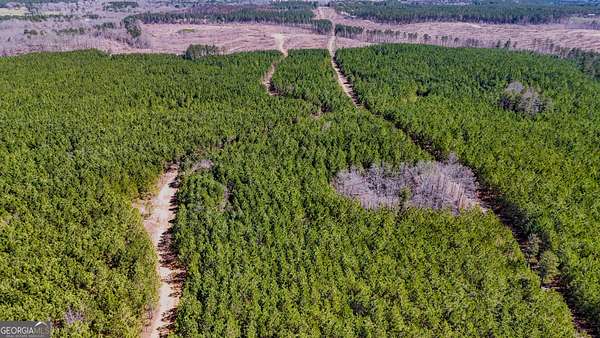 410 Acres of Recreational & Residential Land for Sale in Taylorsville, Georgia