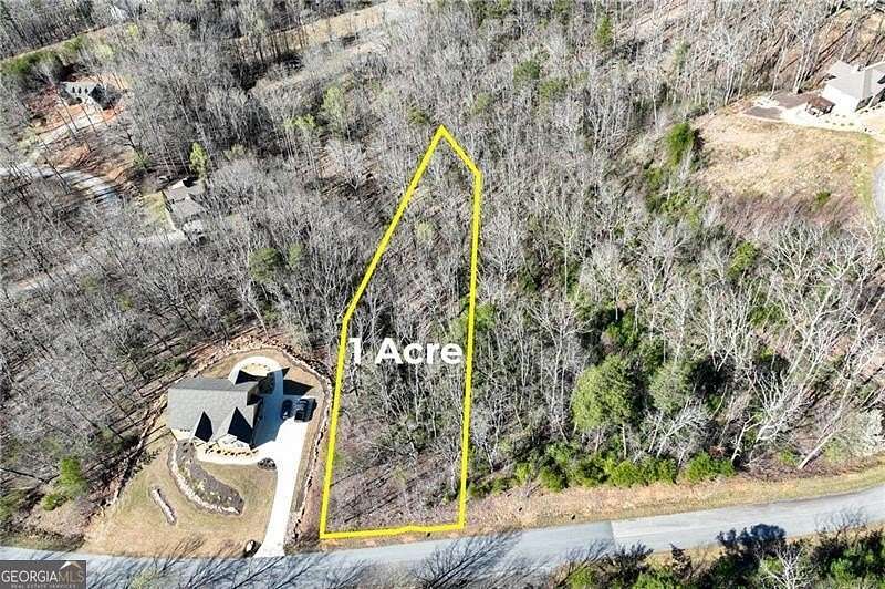 1 Acre of Residential Land for Sale in Cleveland, Georgia