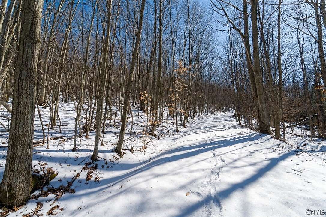 72.4 Acres of Recreational Land for Sale in Beaver Dams, New York