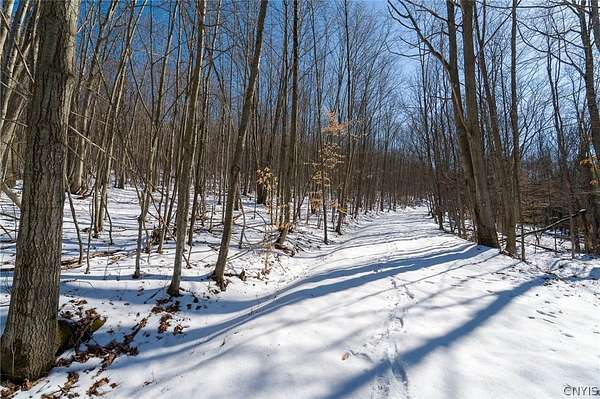 72.4 Acres of Recreational Land for Sale in Beaver Dams, New York