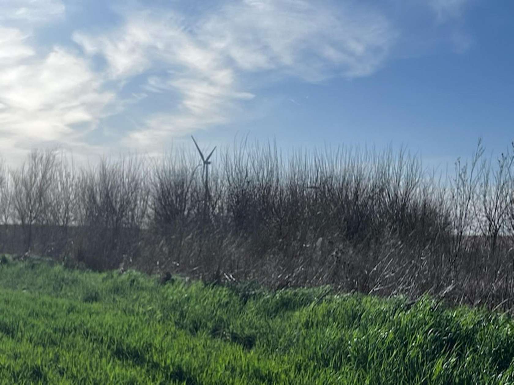 156 Acres of Land for Sale in Harper, Kansas