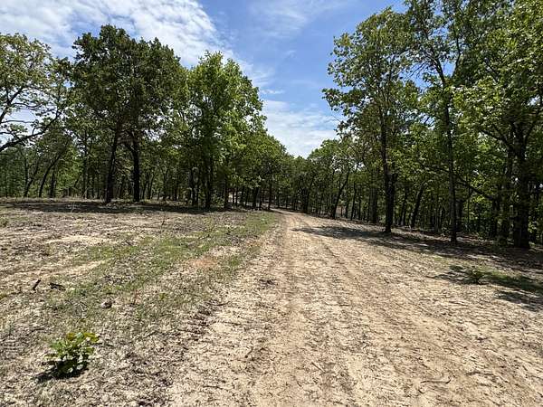 40 Acres of Recreational Land for Sale in Roach, Missouri
