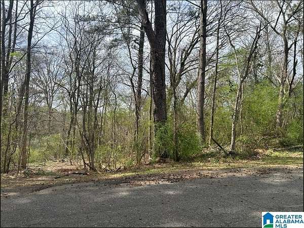 8 Acres of Residential Land for Sale in Graysville, Alabama