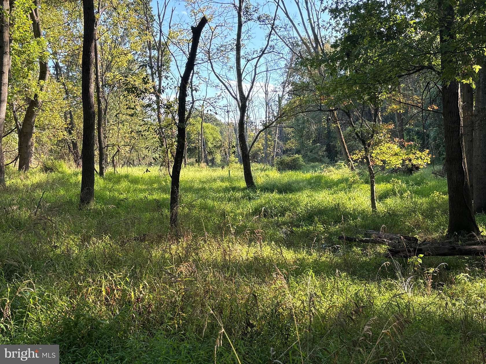 12 Acres of Recreational Land for Sale in Ellicott City, Maryland