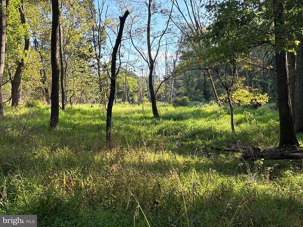 12 Acres of Recreational Land for Sale in Ellicott City, Maryland