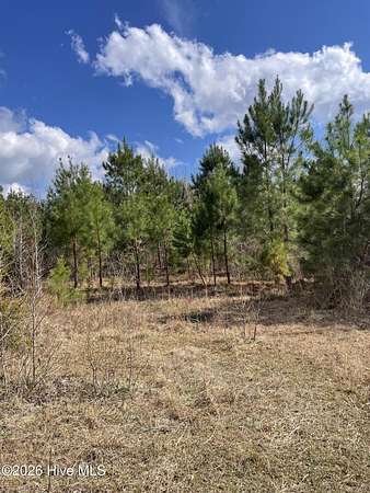 28.3 Acres of Recreational & Residential Land for Sale in Bolivia, North Carolina