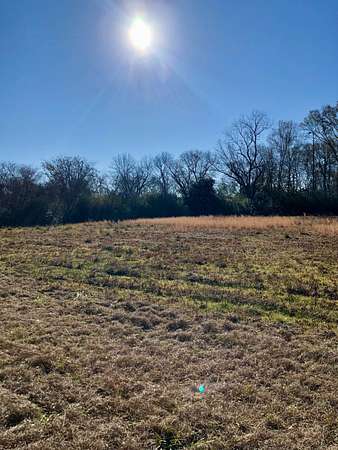 100 Acres of Mixed-Use Land for Sale in Greenville, Alabama