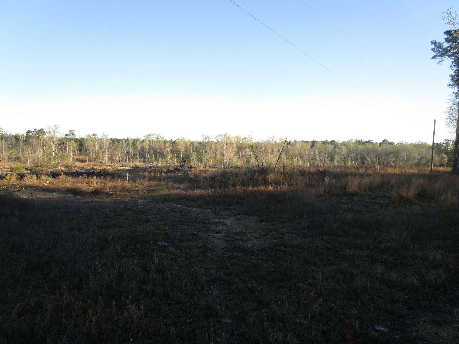 50 Acres of Land for Sale in Waldo, Arkansas