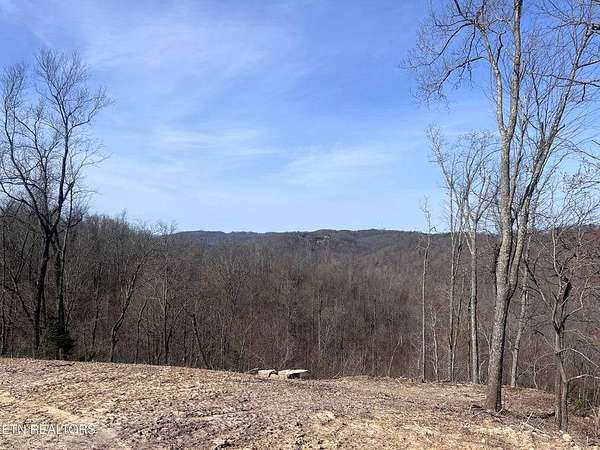 43.5 Acres of Recreational & Residential Land for Sale in Jamestown, Tennessee