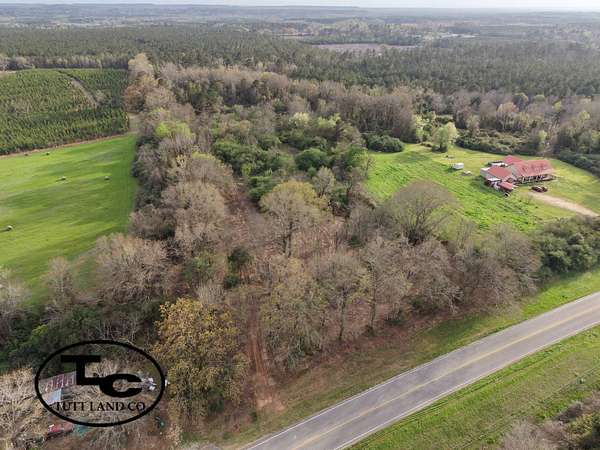 33 Acres of Recreational & Residential Land for Sale in Camden, Alabama