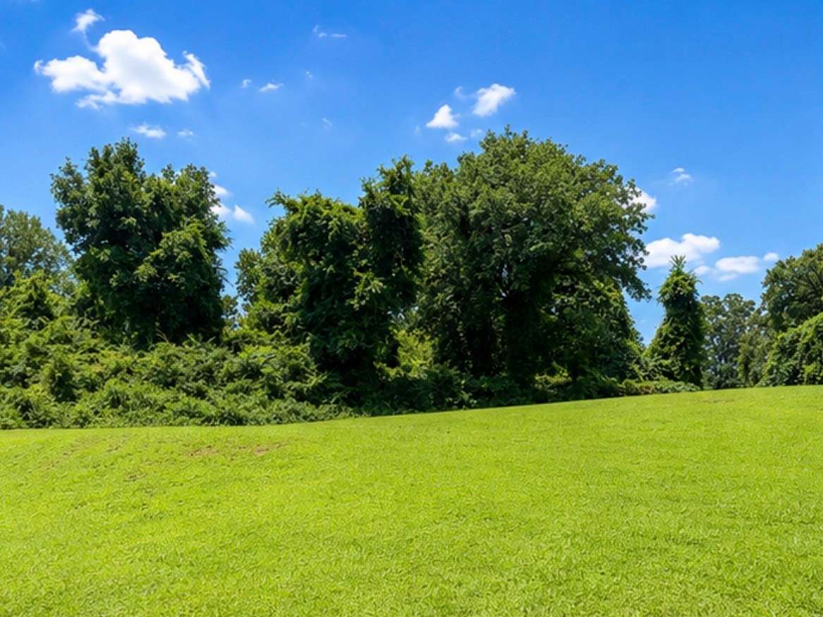 0.96 Acres of Residential Land for Sale in Monteagle, Tennessee