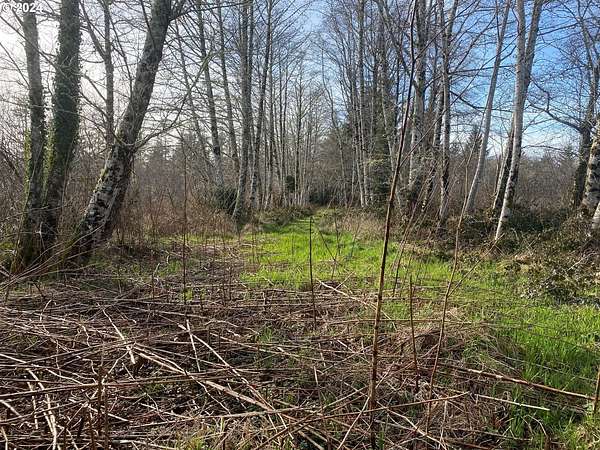 31.7 Acres of Recreational Land for Sale in Warrenton, Oregon