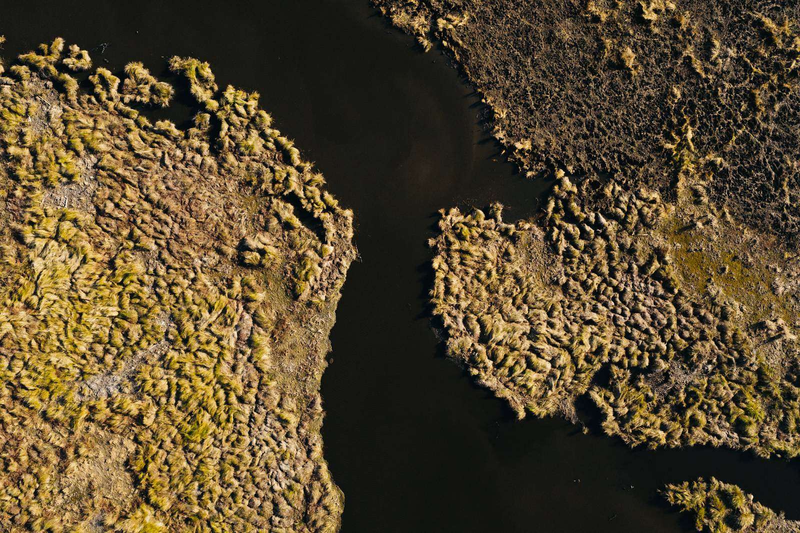 505 Acres of Recreational Land for Sale in New Iberia, Louisiana