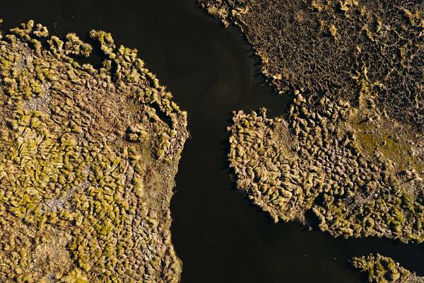 505 Acres of Recreational Land for Sale in New Iberia, Louisiana