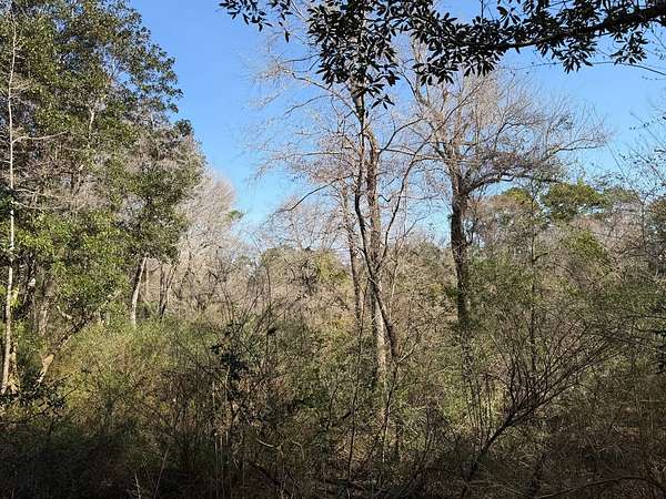 124 Acres of Recreational Land for Sale in Daphne, Alabama