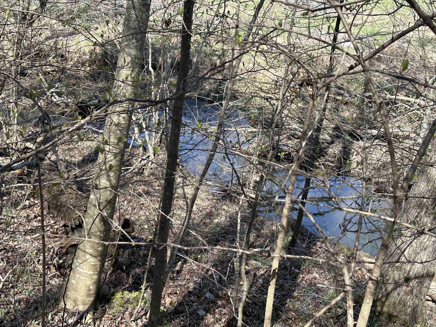 5 Acres of Residential Land for Sale in Savannah, Tennessee